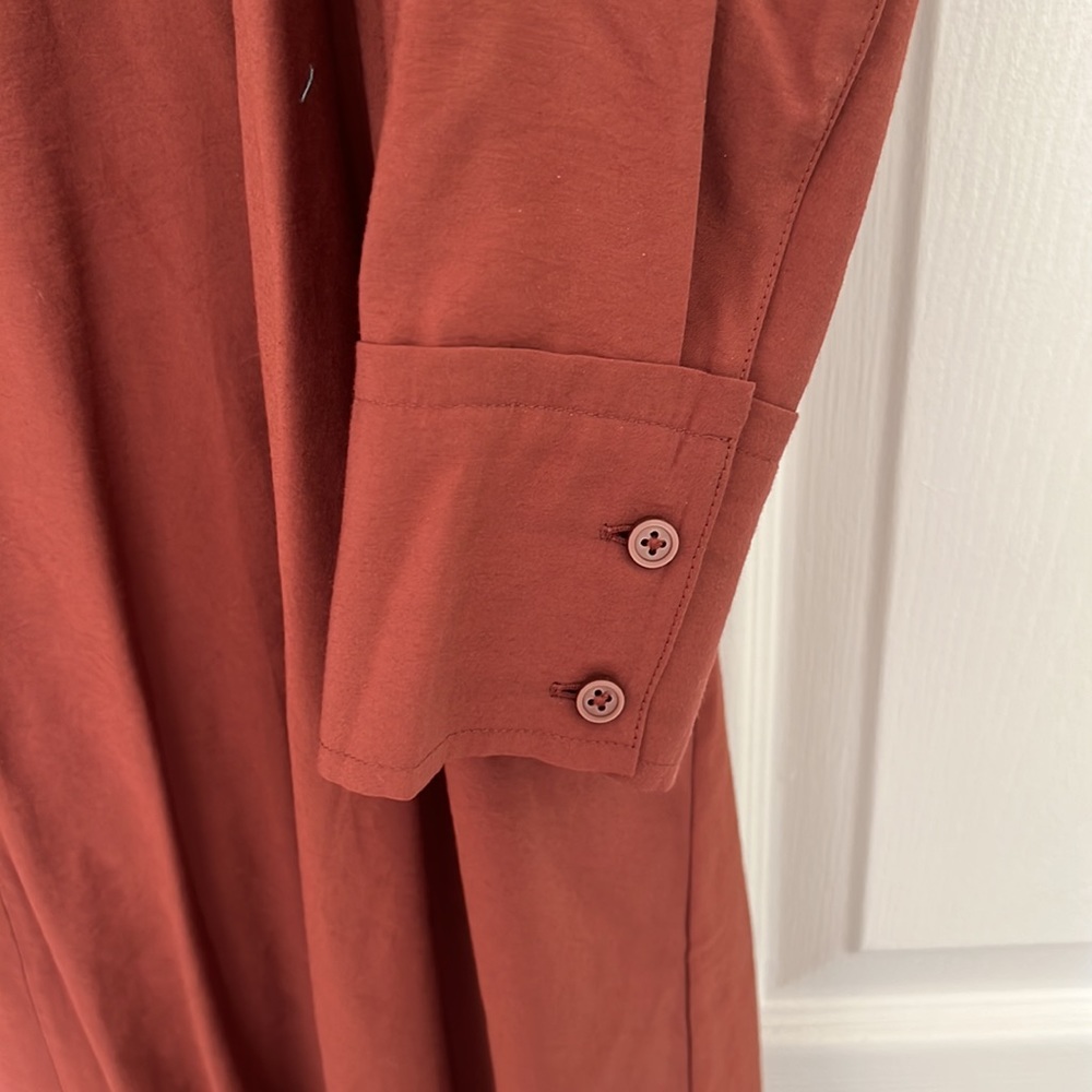 COS Rust Red Ruffled Maxi Dress - Picture 3 of 3